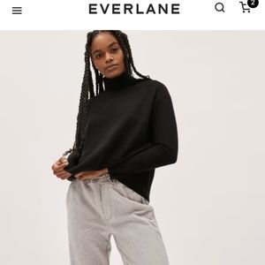 Everlane The Cashmere Square Turtleneck Med